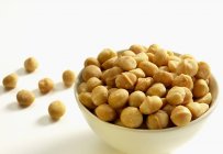 Roasted macadamia nuts — Stock Photo