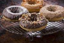 Vários donuts diferentes — Fotografia de Stock