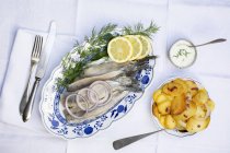Soused herring fillets — Stock Photo