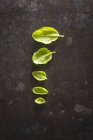 Row of green basil leaves — Stock Photo