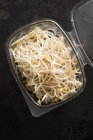 Germogli di soia in contenitore — Foto stock