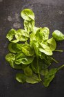Freshly washed spinach leaves — Stock Photo