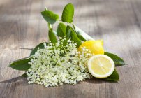 Flor de saúco fresca y limones - foto de stock