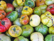 Various heirloom tomatoes — Stock Photo