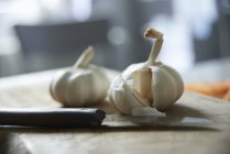 Bulbi di aglio secchi — Foto stock