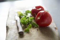 Tomates frescos y cilantro - foto de stock