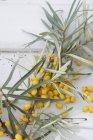 Bacche fresche di olivello spinoso — Foto stock