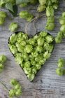 Top view of hops umbels inside a heart-shaped cutter — Stock Photo