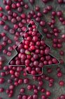 Lingon berries in cutter — Stock Photo