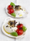 Gebackener Mozzarella mit Olivenkrümeln, Tomaten und Basilikum auf weißen Tellern — Stockfoto