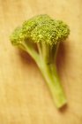 Fresh broccoli flower — Stock Photo