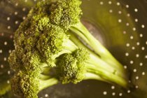Fresh broccoli in colander — Stock Photo