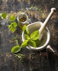 Fresh herbs and olive oil — Stock Photo