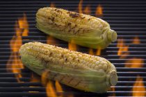 Corn-on-the-cob — Stock Photo
