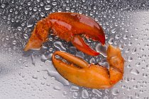 Vista close-up de duas garras de lagosta cozidas na superfície de metal molhado — Fotografia de Stock