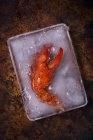 Vista superior da garra de lagosta cozida em recipiente de gelo — Fotografia de Stock