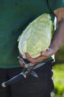 Man with fresh picked pointed cabbage — Stock Photo
