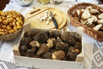 Porcini, chanterelle e cogumelos morel em uma mesa com uma toalha de mesa branca — Fotografia de Stock