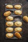 Madeleines in baking tin — Stock Photo