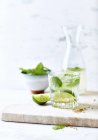Mojito mit Limetten und Minze im Glas — Stockfoto