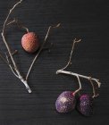 Fresh Lychees with twigs — Stock Photo