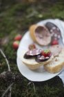 Nahaufnahme von Baguette mit roter Wurst und Leberwurst — Stockfoto