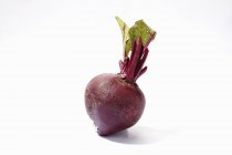 Fresh Beetroot with stalk — Stock Photo