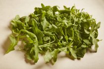 Pile of baby rocket leaves — Stock Photo