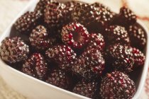 Bowl of black raspberries — Stock Photo