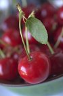 Sour cherries in ceramic bowl — Stock Photo