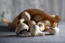 Cogumelos frescos com um saco de papel — Fotografia de Stock