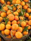 Апельсины с листьями — стоковое фото