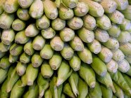 Montón de mazorcas de maíz al aire libre - foto de stock