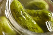 Large Jar of Dill Pickles — Stock Photo