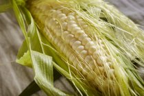 Mais auf Kolben — Stockfoto