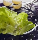 Lettuce leaves with salt — Stock Photo
