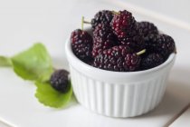Fresh mulberries in white bowl — Stock Photo
