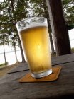 Bicchiere di birra fredda — Foto stock
