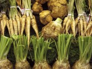 Close up of Celeriac and parsley roots — Stock Photo