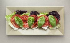 Батавії салату листя увінчаний помідорами та базиліком на білий плита — стокове фото