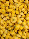 Yellow pattypan squash — Stock Photo