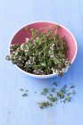 Fresh thyme with blossom in bowl — Stock Photo