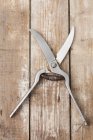 Closeup view of poultry scissors on a wooden surface — Stock Photo