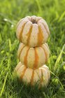 Three ornamental pumpkins — Stock Photo