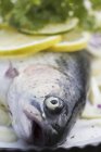 Fresh rainbow trout with lemon — Stock Photo