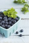 Blueberries with leaves in punnet — Stock Photo