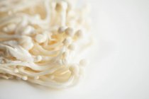 Buna-Shimeji Pilze auf weiß — Stockfoto