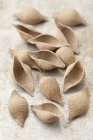 Wholemeal conchiglie pasta shells — Stock Photo