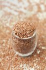 Jar of flax seeds — Stock Photo