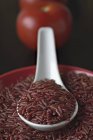 Red rice in bowl — Stock Photo